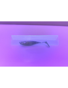 🔥 Shad Alpha 9 cm Vert Irisé | Leurres Souples Perche & Sandre | Kestufish 🎣 2