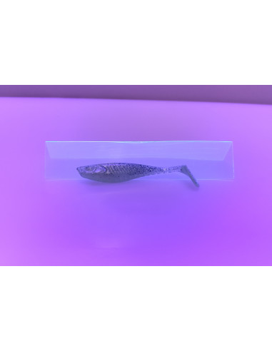 🔥 Shad Alpha 9 cm Vert Irisé | Leurres Souples Perche & Sandre | Kestufish 🎣