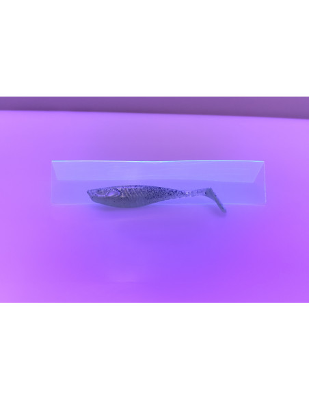 🔥 Shad Alpha 9 cm Vert Irisé | Leurres Souples Perche & Sandre | Kestufish 🎣