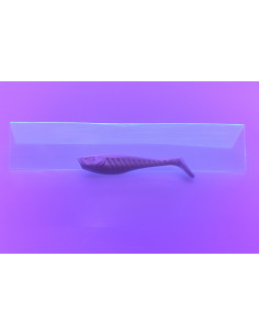 🔥 Shad Alpha 6 cm Blanc | Leurres Souples Perche, Truite & Black bass| Kestufish 🎣 2