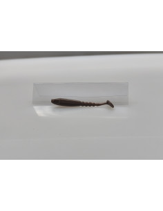 🔥 Ch'ti Shad 6 cm | Le Leurre Souple Ultime pour les pêches Ultra Légères| Kestufish 🎣