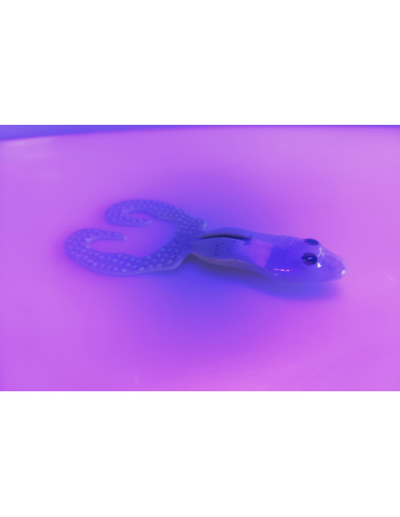 La Mounouille – Leurre souple frog 14 cm pour brochet et silure | Fabriqué en France