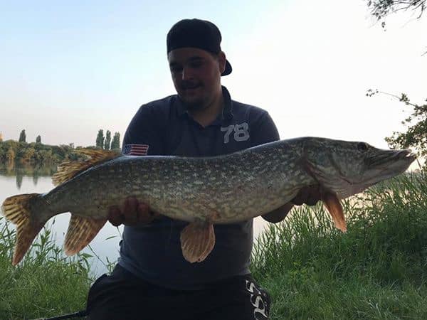 Ch'ti shad 21cm